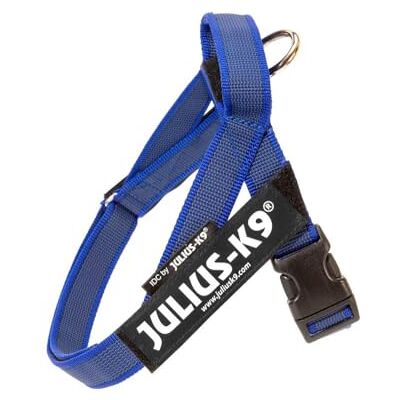 Julius-K9 , IDC-färg och grå bältessele, storlek: XS/Mini-Mini, blå-grå Julius-K9 , IDC-färg och grå bältessele, storlek: XS/Mini-Mini, blå-grå