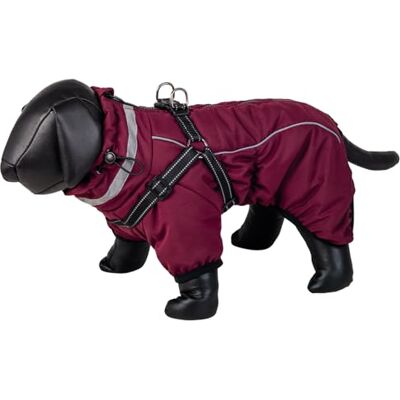Nobby Hundrock ELOR 2 i 1 Bordeaux 36 cm Nobby Hundrock ELOR 2 i 1 Bordeaux 36 cm