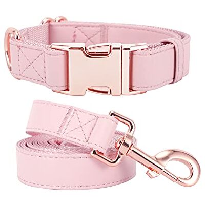 MoTaity Set med hundhalsband och koppel, justerbart husdjurshalsband med Tilish roséguld slitstarkt metallspänne koppel för små medelstora hundar (rosa, S (31–43 cm) MoTaity Set med hundhalsband och koppel, justerbart husdjurshalsband med Tilish roséguld slitstarkt metallspänne koppel för små medelstora hundar (rosa, S (31–43 cm)
