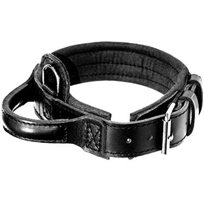 DINGO GEAR WWW.DINGOGEAR.COM 1977 DINGO GEAR Hundhalsband i drakläder, amorterad med starkt brett handtag, handgjord, halsomkrets 56–64 cm, för träning och promenader, dragskydd, mjuk stoppning, svart (S04022) DINGO GEAR WWW.DINGOGEAR.COM 1977 DINGO GEAR Hundhalsband i drakläder, amorterad med starkt brett handtag, handgjord, halsomkrets 56–64 cm, för träning och promenader, dragskydd, mjuk stoppning, svart (S04022)