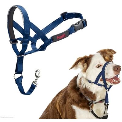 Halti Headcollar För att hindra din hund från att dra i kopplet. Justerbar och lätt, med vadderat näsband. Anti-draghalsband för hundträning för medelstora hundar (Storlek 2, Koboltblå) Halti Headcollar För att hindra din hund från att dra i kopplet. Justerbar och lätt, med vadderat näsband. Anti-draghalsband för hundträning för medelstora hundar (Storlek 2, Koboltblå)