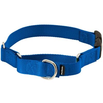 PetSafe Martingale hundhalsband med snabbknäppspänne – liten, 3/4 tum, kungsblå PetSafe Martingale hundhalsband med snabbknäppspänne – liten, 3/4 tum, kungsblå