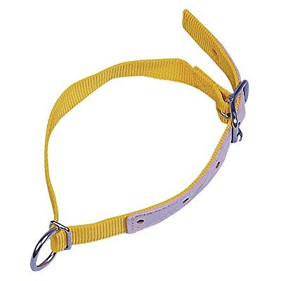 Kerbl halsrem F.Får, 60 cm gul Kerbl halsrem F.Får, 60 cm gul