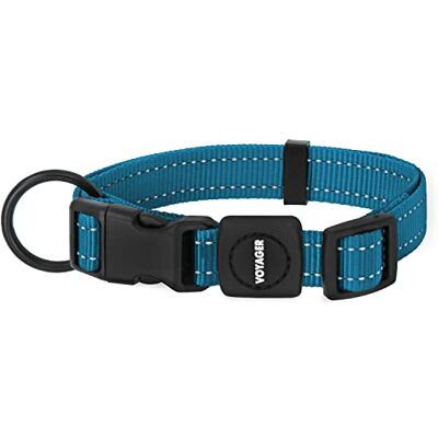 Best Pet Supplies Bästa husdjurstillbehören reflekterande hundhalsband med justerbar längd, tungt spänne och starkt koppel D-ring, söt träning, promenadtillbehör för små, medelstora och stora raser – turkos, 2,5 cm Best Pet Supplies Bästa husdjurstillbehören reflekterande hundhalsband med justerbar längd, tungt spänne och starkt koppel D-ring, söt träning, promenadtillbehör för små, medelstora och stora raser – turkos, 2,5 cm