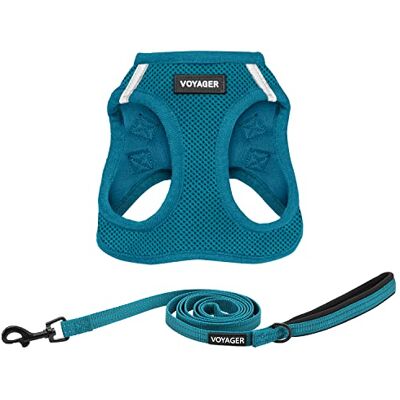 Best Pet Supplies Voyager Step-in Air All Weather nätsele och reflekterande hund 1,5 m koppelkombination med neoprenhandtag, för små, medelstora och stora rasvalpar från – koppelsele (turkos), M Best Pet Supplies Voyager Step-in Air All Weather nätsele och reflekterande hund 1,5 m koppelkombination med neoprenhandtag, för små, medelstora och stora rasvalpar från – koppelsele (turkos), M