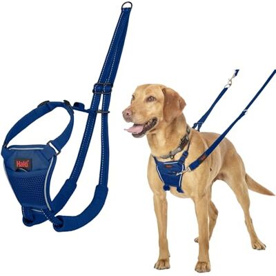 Halti No Pull Hundsele Förhindrar att din hund drar i kopplet. Justerbar, Lätt och Lätt att Använda, Reflekterande Hundträning sele för Medelstora Hundar (Storlek M, Koboltblå) Halti No Pull Hundsele Förhindrar att din hund drar i kopplet. Justerbar, Lätt och Lätt att Använda, Reflekterande Hundträning sele för Medelstora Hundar (Storlek M, Koboltblå)