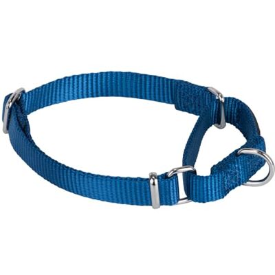 Hyhug Premium uppgraderat Martingale-hundhalsband i mycket starkt nylon anti-skrymmande för små hundar. (liten modell S, klassisk blå) Hyhug Premium uppgraderat Martingale-hundhalsband i mycket starkt nylon anti-skrymmande för små hundar. (liten modell S, klassisk blå)