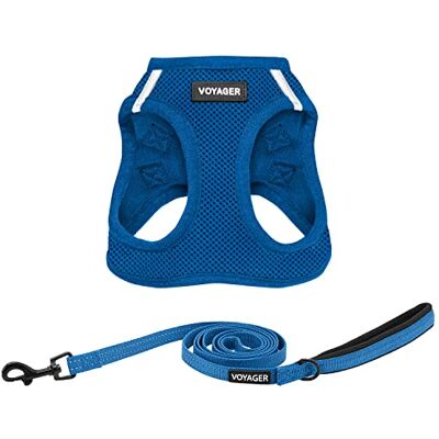 Best Pet Supplies Voyager Antidragsele i meshtyg för alla väder, reflekterande, 1,5 m-koppel med neoprenhandtag, för små och medelstora till stora rasvalpar, set (kungsblå), storlek S Best Pet Supplies Voyager Antidragsele i meshtyg för alla väder, reflekterande, 1,5 m-koppel med neoprenhandtag, för små och medelstora till stora rasvalpar, set (kungsblå), storlek S