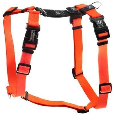 Blue-9 Blå-9 husdjursprodukter balanssele spänne hals (medium/stor, orange) Blue-9 Blå-9 husdjursprodukter balanssele spänne hals (medium/stor, orange)