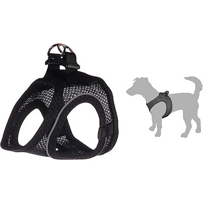 Flamingo Step&Go Bento Hundsele svart XS A:28-30 cm B:30-32 cm x 3 mm Justerbar med reflekterande ränder Perfekt för Pomeranian, Yorkshire, Papillon & Toyterrier Flamingo Step&Go Bento Hundsele svart XS A:28-30 cm B:30-32 cm x 3 mm Justerbar med reflekterande ränder Perfekt för Pomeranian, Yorkshire, Papillon & Toyterrier