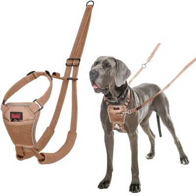 Halti No Pull Hundsele Förhindrar att din hund drar i kopplet. Justerbar, Lätt och Lätt att Använda, Reflekterande Hundträning sele för Stora Hundar (Storlek L, Ökensand) Halti No Pull Hundsele Förhindrar att din hund drar i kopplet. Justerbar, Lätt och Lätt att Använda, Reflekterande Hundträning sele för Stora Hundar (Storlek L, Ökensand)