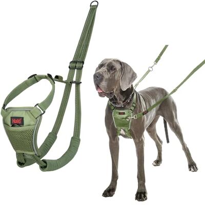Halti No Pull Hundsele Förhindrar att din hund drar i kopplet. Justerbar, Lätt och Lätt att Använda, Reflekterande Hundträning sele för Stora Hundar (Storlek L, Skog Grön) Halti No Pull Hundsele Förhindrar att din hund drar i kopplet. Justerbar, Lätt och Lätt att Använda, Reflekterande Hundträning sele för Stora Hundar (Storlek L, Skog Grön)