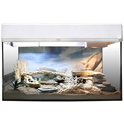 Lucky Reptile Wüstengecko Starter Kit 50 cm högkvalitativt terrarium komplettset för små geckos terrariekit med plats för upp till fyra geckos startpaket för nybörjare i vit Lucky Reptile Wüstengecko Starter Kit 50 cm högkvalitativt terrarium komplettset för små geckos terrariekit med plats för upp till fyra geckos startpaket för nybörjare i vit