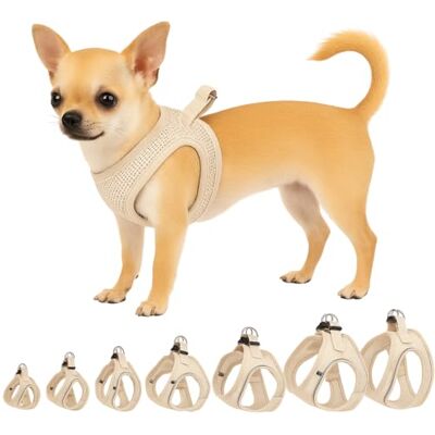 Flamingo Step&Go Bento Hundsele Beige XXS A:22-23 cm B:24-25 cm x 3 mm Justerbar med reflekterande ränder Perfekt för Chihuahua, Yorkshire, Papillon & Pekingese Flamingo Step&Go Bento Hundsele Beige XXS A:22-23 cm B:24-25 cm x 3 mm Justerbar med reflekterande ränder Perfekt för Chihuahua, Yorkshire, Papillon & Pekingese