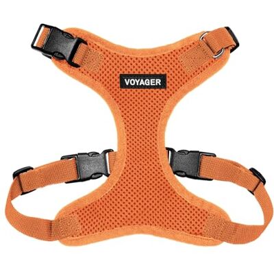 Best Pet Supplies Voyager Step-in Lock husdjurssele – alla vädernät, justerbar sele för katter och hundar, orange (matchande trim), XS (byst: 28–40 cm passar katter) Best Pet Supplies Voyager Step-in Lock husdjurssele – alla vädernät, justerbar sele för katter och hundar, orange (matchande trim), XS (byst: 28–40 cm passar katter)