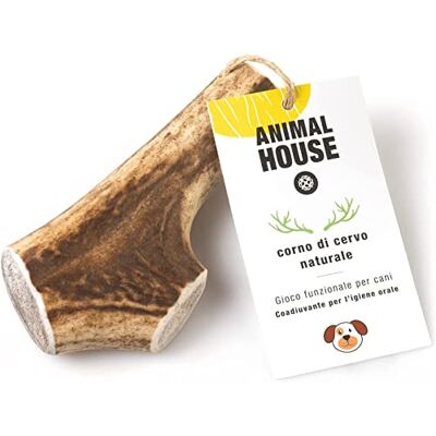 Animal House Hjorthorn för hela hundar 100% naturlig tuggning stärker munhygien hållbar och hållbar Finns i alla storlekar (L) Animal House Hjorthorn för hela hundar 100% naturlig tuggning stärker munhygien hållbar och hållbar Finns i alla storlekar (L)