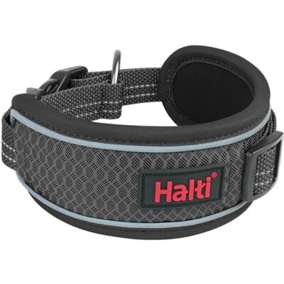 Halti Anatomi Hundhalsband Bred Halsband Design för Tryckavlastning, Vadderad i Neopren, Reflekterande och Justerbar, Matchande Koppel och Sele, Lämplig för Medelstora Hundar (Storlek M, Grå) Halti Anatomi Hundhalsband Bred Halsband Design för Tryckavlastning, Vadderad i Neopren, Reflekterande och Justerbar, Matchande Koppel och Sele, Lämplig för Medelstora Hundar (Storlek M, Grå)