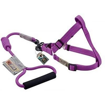 Zeus 99390 rem och koppel för hund Arista Round L, violett Zeus 99390 rem och koppel för hund Arista Round L, violett