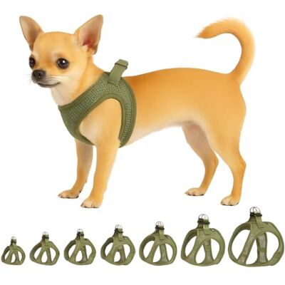 Flamingo Step&Go Bento Hundsele Khaki XXS A:22-23 cm B:24-25 cm x 3 mm Justerbar med reflekterande ränder Perfekt för Chihuahua, Yorkshire, Papillon & Pekingese Flamingo Step&Go Bento Hundsele Khaki XXS A:22-23 cm B:24-25 cm x 3 mm Justerbar med reflekterande ränder Perfekt för Chihuahua, Yorkshire, Papillon & Pekingese