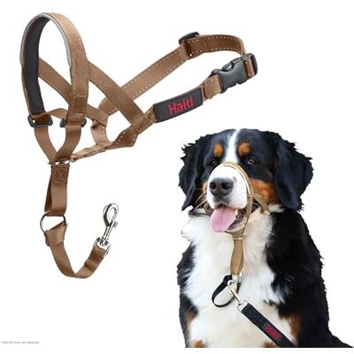 Halti Headcollar För att hindra din hund från att dra i kopplet. Justerbar, reflekterande och lätt, med vadderat näsband. Anti-draghalsband för hundträning för stora hundar (Storlek 4, Ökensand) Halti Headcollar För att hindra din hund från att dra i kopplet. Justerbar, reflekterande och lätt, med vadderat näsband. Anti-draghalsband för hundträning för stora hundar (Storlek 4, Ökensand)