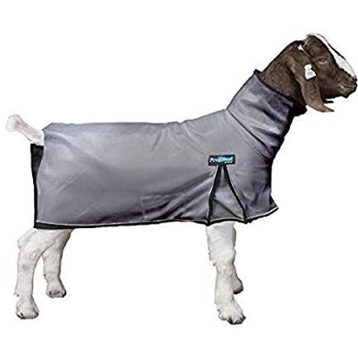 Weaver Leather Livestock ProCool™ Gettfilt med reflekterande rörledningar, stor, grå Weaver Leather Livestock ProCool™ Gettfilt med reflekterande rörledningar, stor, grå