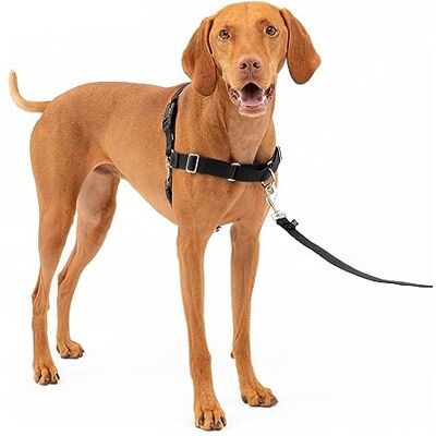 PetSafe Easy Walk hundsel. PetSafe Easy Walk hundsel.