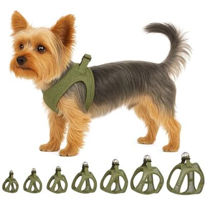 Flamingo Step&Go Bento Hundsele Khaki XS A:28-30 cm B:30-32 cm x 3 mm Justerbar med reflekterande ränder Perfekt för Pomeranian, Yorkshire, Papillon & Toyterrier Flamingo Step&Go Bento Hundsele Khaki XS A:28-30 cm B:30-32 cm x 3 mm Justerbar med reflekterande ränder Perfekt för Pomeranian, Yorkshire, Papillon & Toyterrier