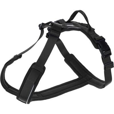 Kerbl Pet Sele Dallas, Svart, Halsomkrets 46-64 Cm, Bröstomkrets 64-76 Cm, Nylon, Y-Form, Reflekterande, Med Klämfäste, För Medelstora Och Stora Hundar Kerbl Pet Sele Dallas, Svart, Halsomkrets 46-64 Cm, Bröstomkrets 64-76 Cm, Nylon, Y-Form, Reflekterande, Med Klämfäste, För Medelstora Och Stora Hundar