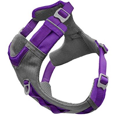 Kurgo Journey Air Hundsele, västsele för hundar, husdjurssele för vandring, löpning och promenader, reflekterande, vadderad, inkluderar kontrollhandtag, no pull-fäste framtill (lila, storlek XL) Kurgo Journey Air Hundsele, västsele för hundar, husdjurssele för vandring, löpning och promenader, reflekterande, vadderad, inkluderar kontrollhandtag, no pull-fäste framtill (lila, storlek XL)