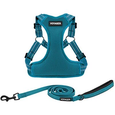 Best Pet Supplies Voyager Step-in Flex hundsele och reflekterande kombinationssats för hundkoppel med neoprenhandtag, 1,8 m lång, — Stöder små, medelstora och stora rasvalpar – turkos (med koppel), XS Best Pet Supplies Voyager Step-in Flex hundsele och reflekterande kombinationssats för hundkoppel med neoprenhandtag, 1,8 m lång, — Stöder små, medelstora och stora rasvalpar – turkos (med koppel), XS