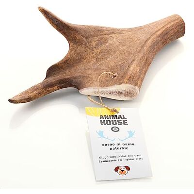 Animal House Daino horn för hundar 100% naturlig tuggning stärker munhygien Hållbar och hållbar Finns i alla storlekar Grymhetsfri (XL) Animal House Daino horn för hundar 100% naturlig tuggning stärker munhygien Hållbar och hållbar Finns i alla storlekar Grymhetsfri (XL)