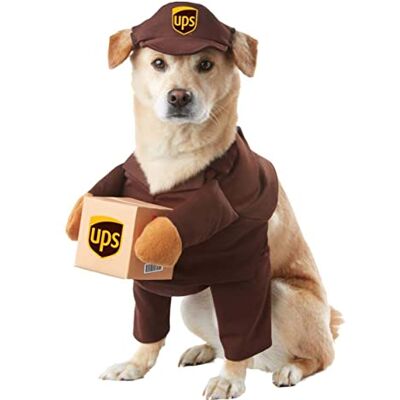 California Costumes California kostymer husdjur ups kompis hundkostymer, brun, L UK California Costumes California kostymer husdjur ups kompis hundkostymer, brun, L UK