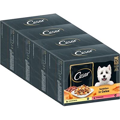 Cesar Vuxen hundmat urval i gelé, 48 portionspåsar, 12 x 100 g (4-pack) – balanserad premium hundmat våt, med kyckling och nötkött Cesar Vuxen hundmat urval i gelé, 48 portionspåsar, 12 x 100 g (4-pack) – balanserad premium hundmat våt, med kyckling och nötkött