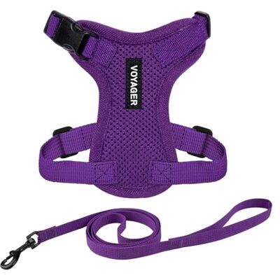Best Pet Supplies Voyager Step-in Lock husdjurssele – alla vädernät, justerbar sele för katter och hundar, lila (matchande trim), XXXS (byst: 23–33 cm passar katter) Best Pet Supplies Voyager Step-in Lock husdjurssele – alla vädernät, justerbar sele för katter och hundar, lila (matchande trim), XXXS (byst: 23–33 cm passar katter)