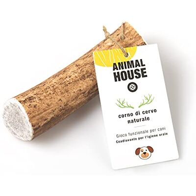 Animal House Hjorthorn för hundar 100% naturlig tuggning stärker munhygien Hållbar och hållbar Finns i alla storlekar Grymhetsfri (M, hel) Animal House Hjorthorn för hundar 100% naturlig tuggning stärker munhygien Hållbar och hållbar Finns i alla storlekar Grymhetsfri (M, hel)