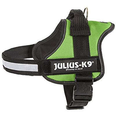 Julius K9 Halsband K9-Power Baby - Vert Kiwi Mini - Halsband Julius K9 Halsband K9-Power Baby - Vert Kiwi Mini - Halsband