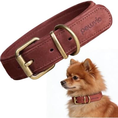 Peluvio Rexor Hundhalsband i Äkta Oxläder för Hundar, Justerbart Läderhalsband med Kopparspänne och Metallbeslag, Mjukt, Slitstarkt och Bekvämt Halsband för Dagliga Promenader, Elegant (XS-S, Brun) Peluvio Rexor Hundhalsband i Äkta Oxläder för Hundar, Justerbart Läderhalsband med Kopparspänne och Metallbeslag, Mjukt, Slitstarkt och Bekvämt Halsband för Dagliga Promenader, Elegant (XS-S, Brun)