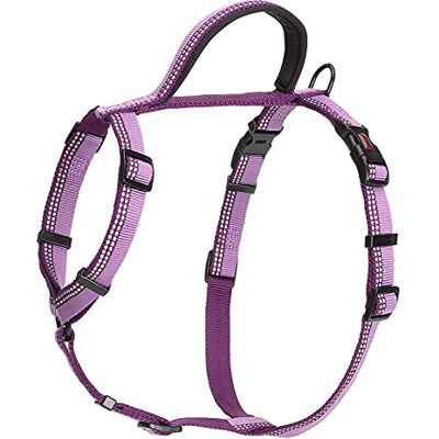 Halti Hundpromenadsele Storlek L, Purpur Lätt hundsele med handtag Reflexdetaljer och justerbar Perfekt för promenader med valpen Passar stora hundar Halti Hundpromenadsele Storlek L, Purpur Lätt hundsele med handtag Reflexdetaljer och justerbar Perfekt för promenader med valpen Passar stora hundar