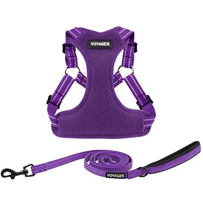 Best Pet Supplies Voyager Step-in Flex hundsele och reflekterande hundkoppel kombo set med neoprenhandtag, 1,8 m lång, — Stöder små, medelstora och stora rasvalpar – lila (med koppel), S Best Pet Supplies Voyager Step-in Flex hundsele och reflekterande hundkoppel kombo set med neoprenhandtag, 1,8 m lång, — Stöder små, medelstora och stora rasvalpar – lila (med koppel), S