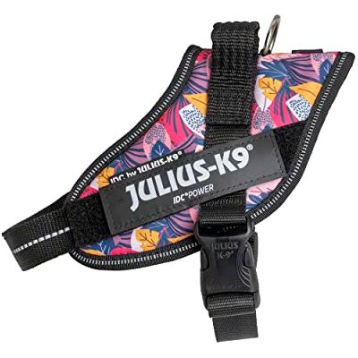 Julius-K9 IDC Powersele, storlek: S/Mini, blad 2 begränsad utgåva Julius-K9 IDC Powersele, storlek: S/Mini, blad 2 begränsad utgåva