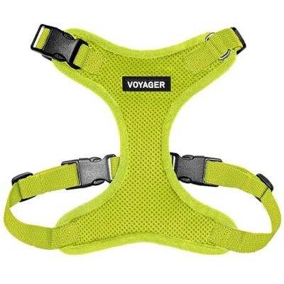 Best Pet Supplies Voyager Step-in Lock husdjurssele – alla vädernät, justerbar stege i selen för katter och hundar av – limegrön, L Best Pet Supplies Voyager Step-in Lock husdjurssele – alla vädernät, justerbar stege i selen för katter och hundar av – limegrön, L