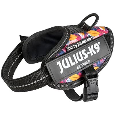 Julius-K9 IDC Power Sele, storlek: 2XS/Baby 2, Leaf 2 Limited Edition Julius-K9 IDC Power Sele, storlek: 2XS/Baby 2, Leaf 2 Limited Edition