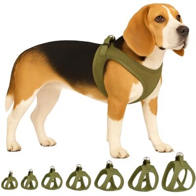 Flamingo Step&Go Bento Hundsele Khaki L A:32-37 cm B:42-46 cm x 3 mm Justerbar med reflekterande ränder Perfekt för Tax, Jack Russell, Fransk Bulldog & Schnauzer Flamingo Step&Go Bento Hundsele Khaki L A:32-37 cm B:42-46 cm x 3 mm Justerbar med reflekterande ränder Perfekt för Tax, Jack Russell, Fransk Bulldog & Schnauzer