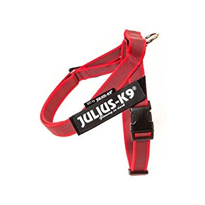 Julius-K9 , IDC-färg och grå bältessele, storlek: XS/Mini-Mini, röd-grå Julius-K9 , IDC-färg och grå bältessele, storlek: XS/Mini-Mini, röd-grå