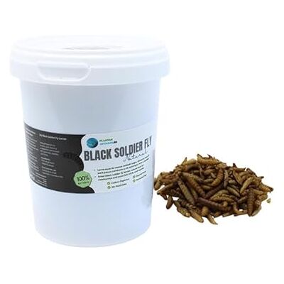 PlantasAcuario Larva Black Soldier Fly akvarieplanter 500 ml, 100% naturlig insektsbaserad mat för fisk, fåglar och reptiler rik på protein och vitaminer PlantasAcuario Larva Black Soldier Fly akvarieplanter 500 ml, 100% naturlig insektsbaserad mat för fisk, fåglar och reptiler rik på protein och vitaminer