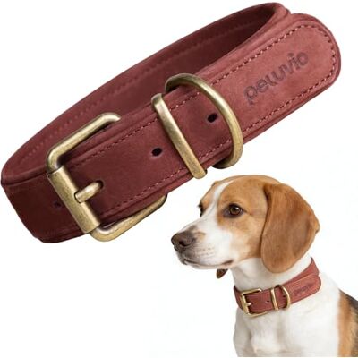 Peluvio Rexor Hundhalsband i Äkta Oxläder för Hundar, Justerbart Läderhalsband med Kopparspänne och Metallbeslag, Mjukt, Slitstarkt och Bekvämt Halsband för Dagliga Promenader, Elegant (M, Brun) Peluvio Rexor Hundhalsband i Äkta Oxläder för Hundar, Justerbart Läderhalsband med Kopparspänne och Metallbeslag, Mjukt, Slitstarkt och Bekvämt Halsband för Dagliga Promenader, Elegant (M, Brun)