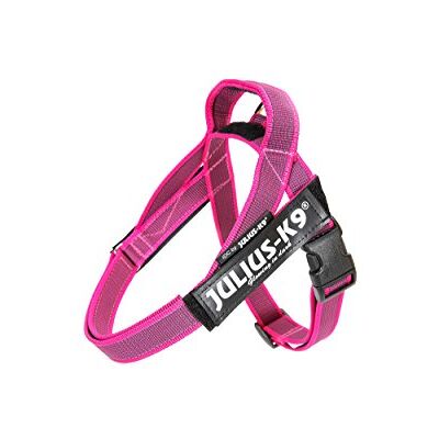 Julius-K9 , IDC-färg och grå bältessele, storlek: XS/mini-mini, rosa-grå Julius-K9 , IDC-färg och grå bältessele, storlek: XS/mini-mini, rosa-grå