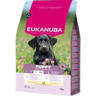 Eukanuba Valpfoder med färsk kyckling för stora raser, premium torrfoder för unga hundar, 3 kg Eukanuba Valpfoder med färsk kyckling för stora raser, premium torrfoder för unga hundar, 3 kg