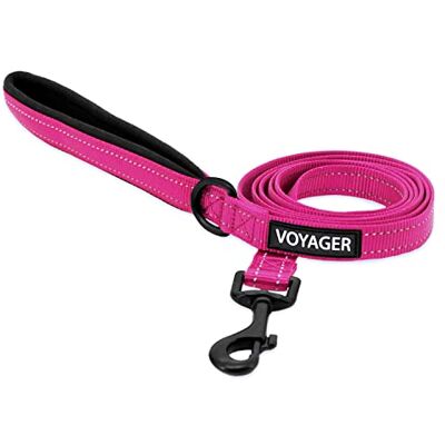 Best Pet Supplies Voyager Reflective Dog Leash with Neoprene Handle, 5ft Long, Supports Small, Medium, and Large Breed Puppies, Cute and Heavy Duty for Walking, Running, and Training Fuchsia (Leash), M Best Pet Supplies Voyager Reflective Dog Leash with Neoprene Handle, 5ft Long, Supports Small, Medium, and Large Breed Puppies, Cute and Heavy Duty for Walking, Running, and Training Fuchsia (Leash), M