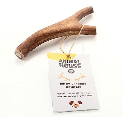 Animal House Renhorn för hundar 100% naturligt tuggmedel stärker munhygien Hållbar och hållbar Finns i alla storlekar(S) Animal House Renhorn för hundar 100% naturligt tuggmedel stärker munhygien Hållbar och hållbar Finns i alla storlekar(S)